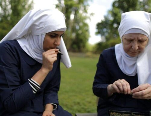 Meet California’s ‘cannabis nuns’ who are fighting to keep their mission alive