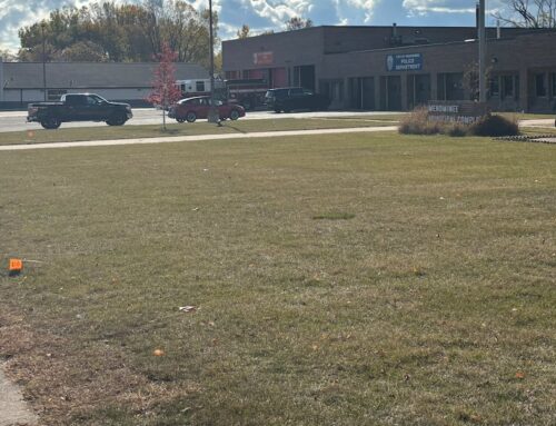 Cannabis initiative back on ballot for Menominee voters