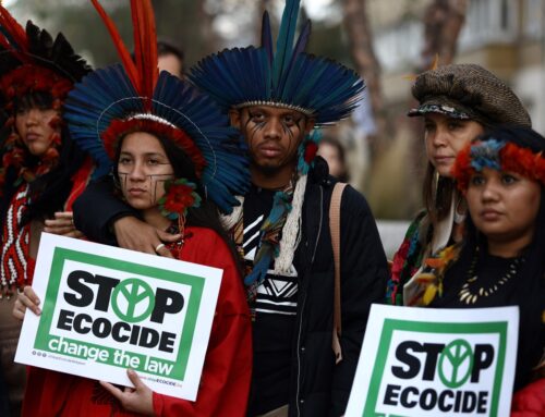 Case for Environmental Harm as a 12th Crime Against Humanity