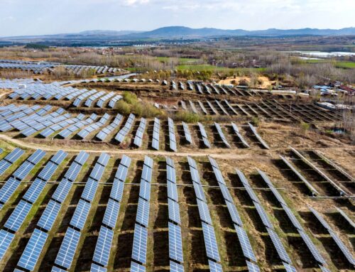 As Trump champions fossil fuels, the world is betting on renewable energy