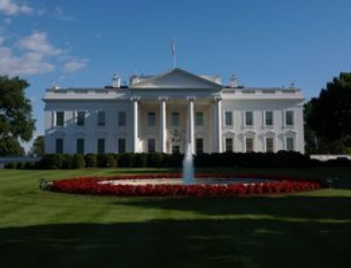 Two companies and one sector Team Trump could invest in next