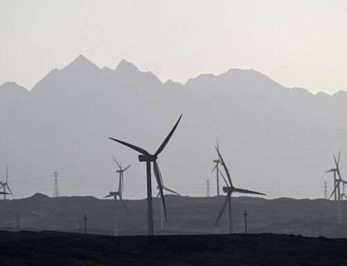 Egypt’s renewable power jumps 34% as country tackles energy crunch