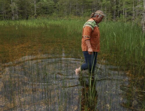 ‘River of Grass’ isn’t your typical environmental documentary