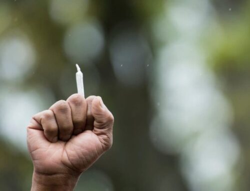 Marijuana industry sues Michigan over new 24% wholesale tax on weed