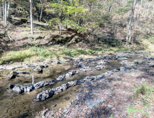 Rock craze harms environment