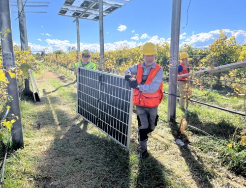Solar panels ​go up at Grand Junction vineyard,​ Colorado’s newest ag and energy project