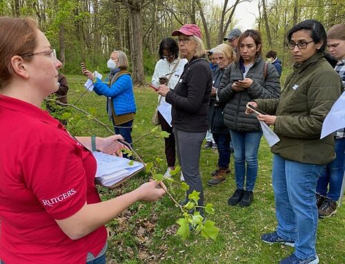 Earlybird registration open for Rutgers Environmental Stewards program