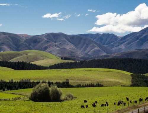 New Zealand: 179MWdc Glorit Solar Farm clears regulatory hurdle with EPA consent
