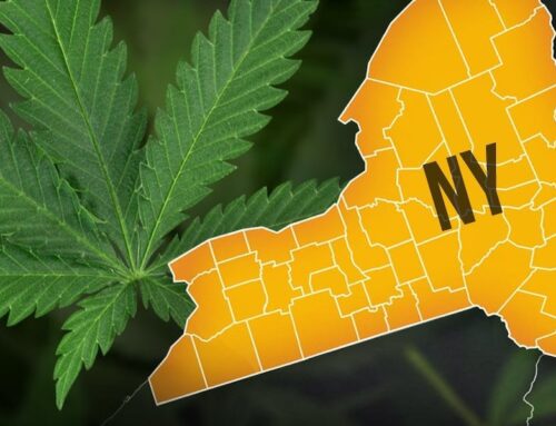 NYS may not allow Watertown’s proposed rules for marijuana shops