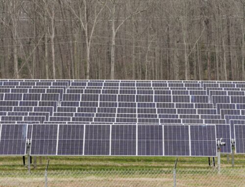 IEA trims renewables outlook as US policy shifts and China auction reforms weigh