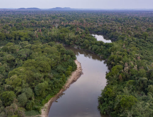 World leaders urged to safeguard wetlands at COP30