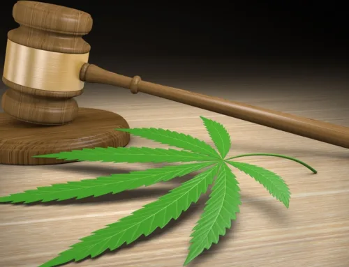 Cannabis MSO Jushi sues DoorDash, Total Wine over hemp THC sales