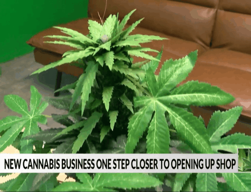 New cannabis shop in LeRoy one step closer to opening