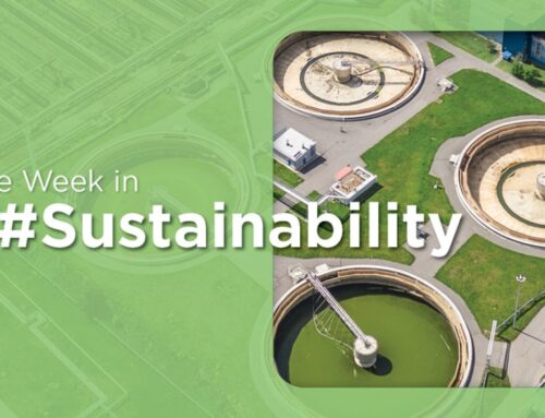 Mexico Seeks US$7.1 Billion for Renewable Energy Projects