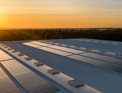 Leading Indian renewable energy developer looks forward to IPO