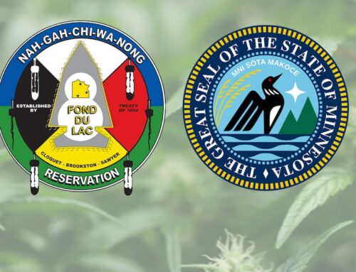 Minnesota expands tribal cannabis partnerships with new compact