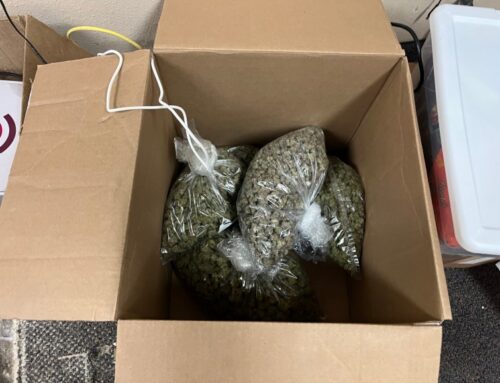 Nearly 400 pounds of cannabis seized from illegal dispensaries in Fullerton