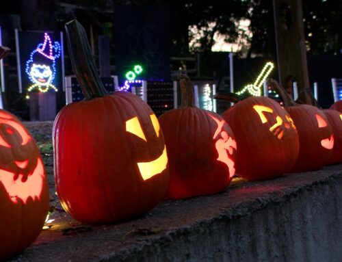 Master Gardeners Pumpkin Walk: teaching about the environment in a spooky way