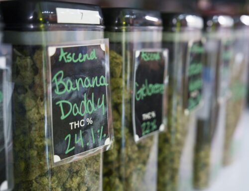 U-M study: 1 in 5 young adults using marijuana, alcohol to fall asleep
