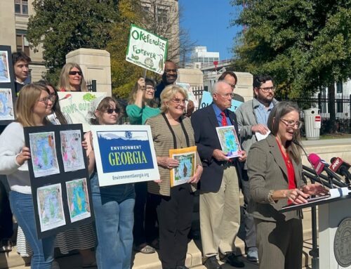 Environmental groups want permanent protections against mining at Okefenokee Swamp