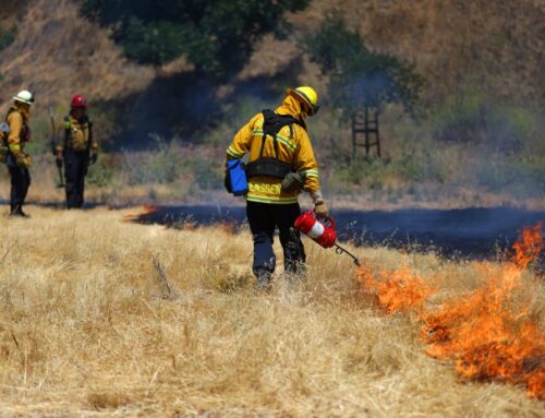 Letters: Prescribed burns help homeowners and the environment
