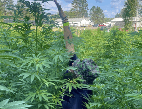 Fond du Lac Band of Lake Superior Chippewa Signs Cannabis Compact with State of Minnesota