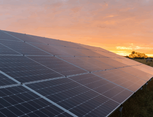 Wading Into New York’s 2025 NYS Wetlands Permitting Changes