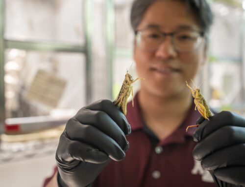 From insects to mammals, the ASU Biocollections have it all — and are growing