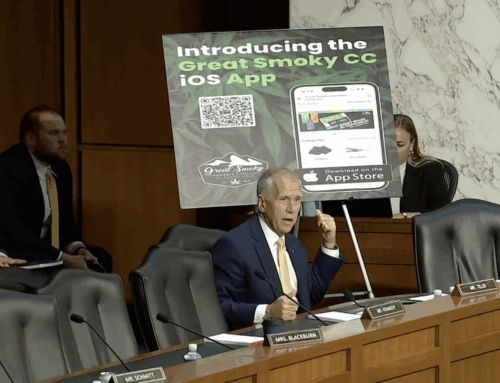 Sen. Thom Tillis calls for DOJ to investigate Cherokee cannabis industry