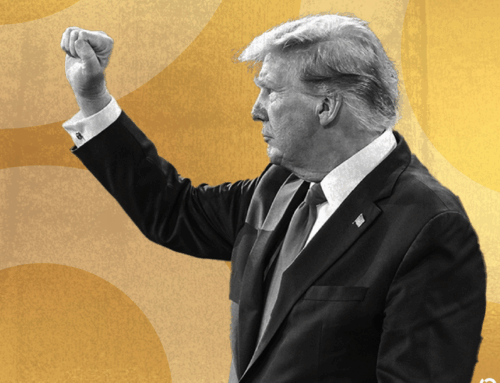 Donald Trump and Bitcoin: From ‘Not a Fan’ to Crypto President