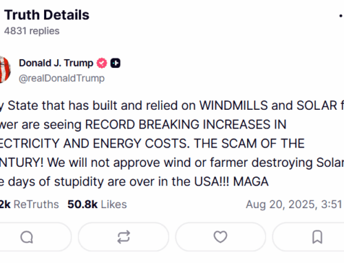 Renewable Energy in the USA: Stupid is as Stupid Does