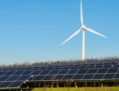 Wyoming, Montana attorneys general accuse big tech companies of greenwashing