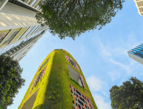 How AI and Machine Learning Can Help the Environment