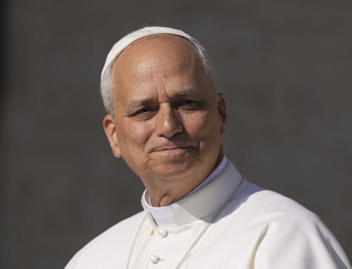 Pope Leo calls for global action to tackle climate change