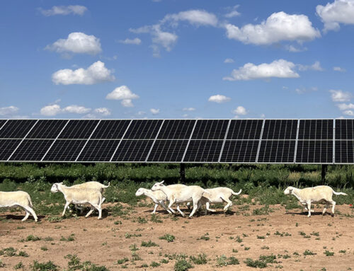 Solar power has provided more new generating capacity than any other source for two years