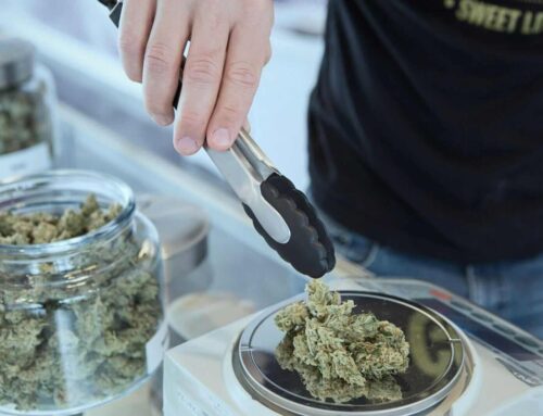 This 1 Cannabis Dividend Stock Yields 3%