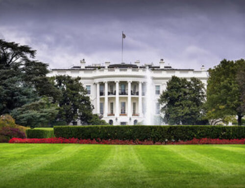 Policy reversals in the US will only have a marginal impact on the global energy transitio