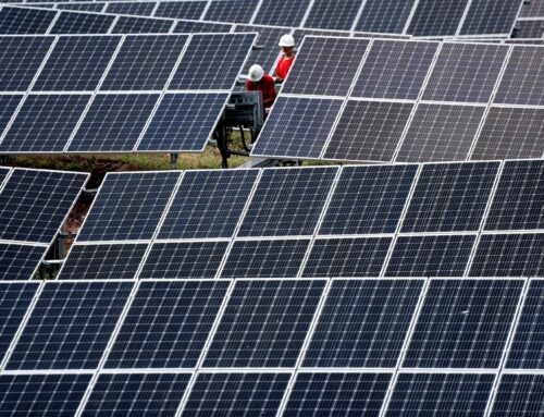 Global renewable power output overtakes coal for the first time, report says