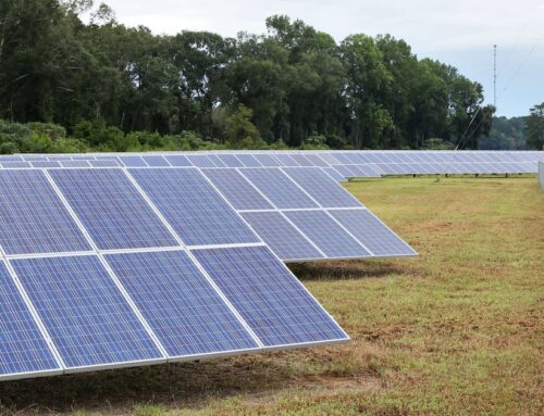 Solar in the South keeps growing, and Georgia is a leader, report shows
