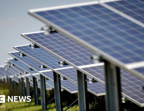 Solar farm plans for Gorefield countryside submitted