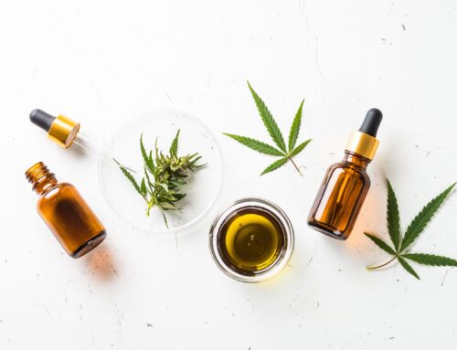 Hamilton, Ontario Receives Newest Canna Cabana Retail Cannabis Location | Cannabis Science