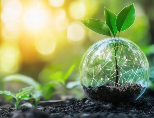 Investors’ Take on Transition Planning