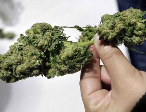 State regulators present detailed cannabis sales data on 5th anniversary of legal adult us