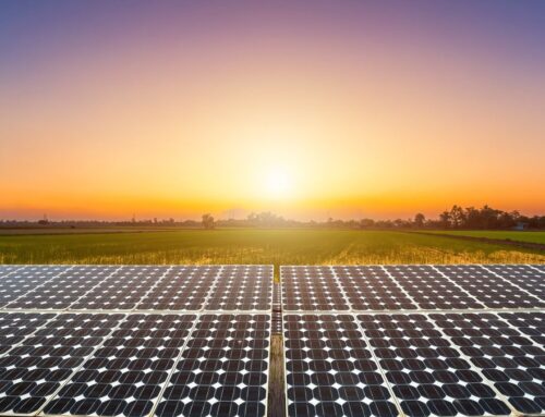 Renewable energy company seeks out Concordia Parish lands for solar fa…