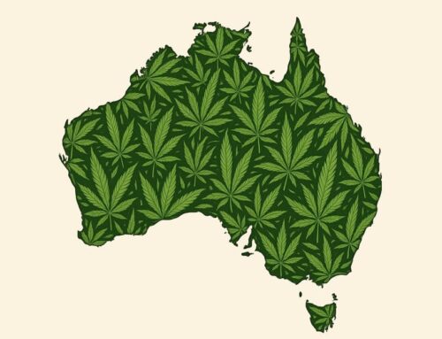 Australian Cannabis Production, Imports And Exports In 2024