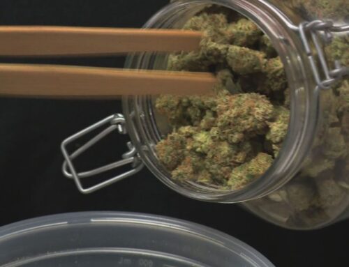 Michigan dispensary owner worries over new 24% cannabis tax