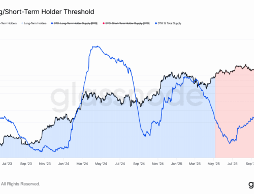 Short-Term Holders Hold 18% of the BTC Supply, Data Suggests Euphoria Isn’t Close