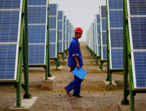 Global renewable energy generation surpasses coal for first time