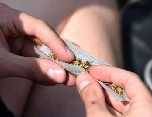 Early Cannabis Use Long-Term Risks: Canadian Study Warns Young People