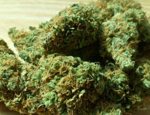 The Metro: Pot for potholes, or a hit to equity? Advocates push back